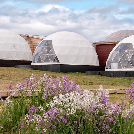 Garden Domes Villa Puerto Natales Bagian luar foto