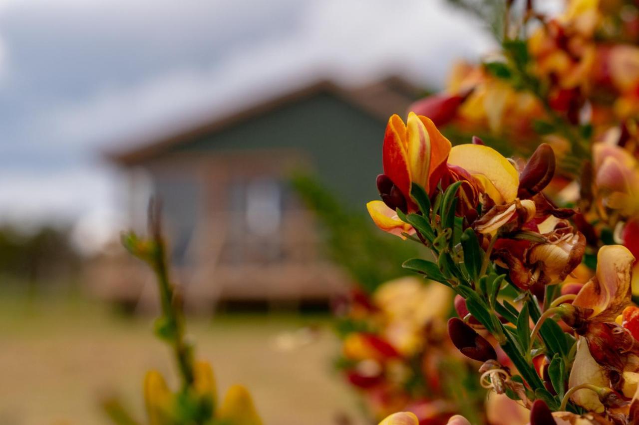 Garden Domes Villa Puerto Natales Bagian luar foto