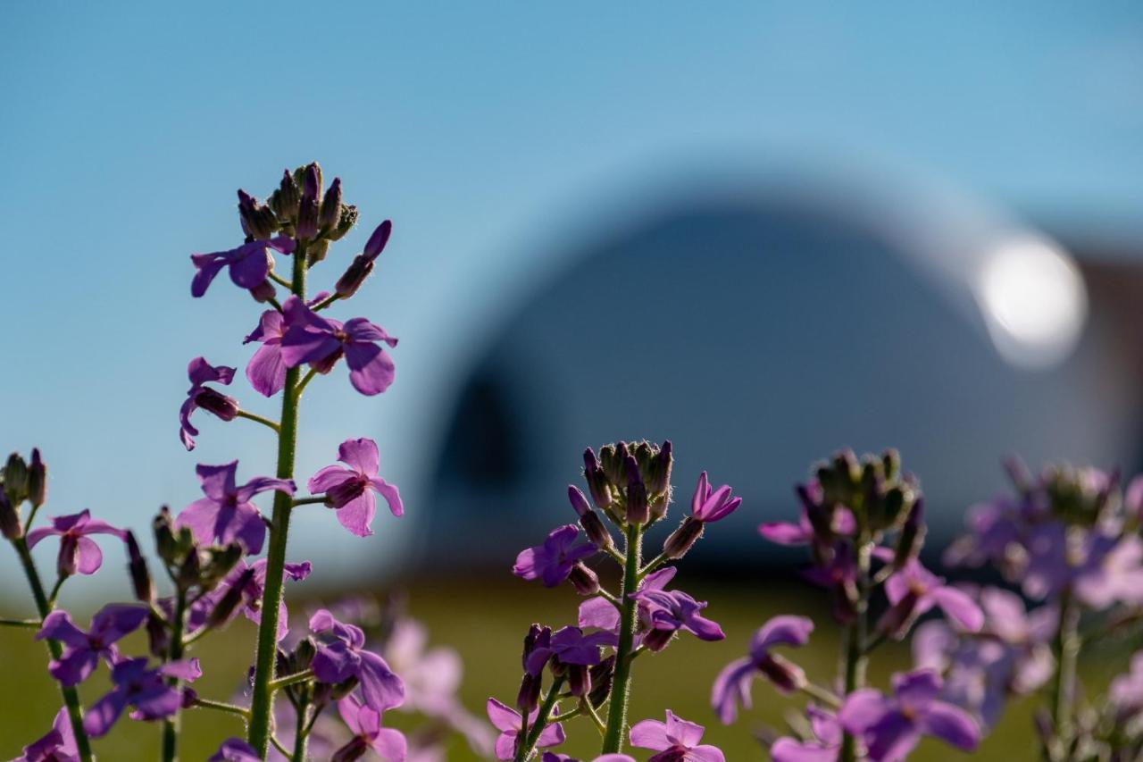 Garden Domes Villa Puerto Natales Bagian luar foto