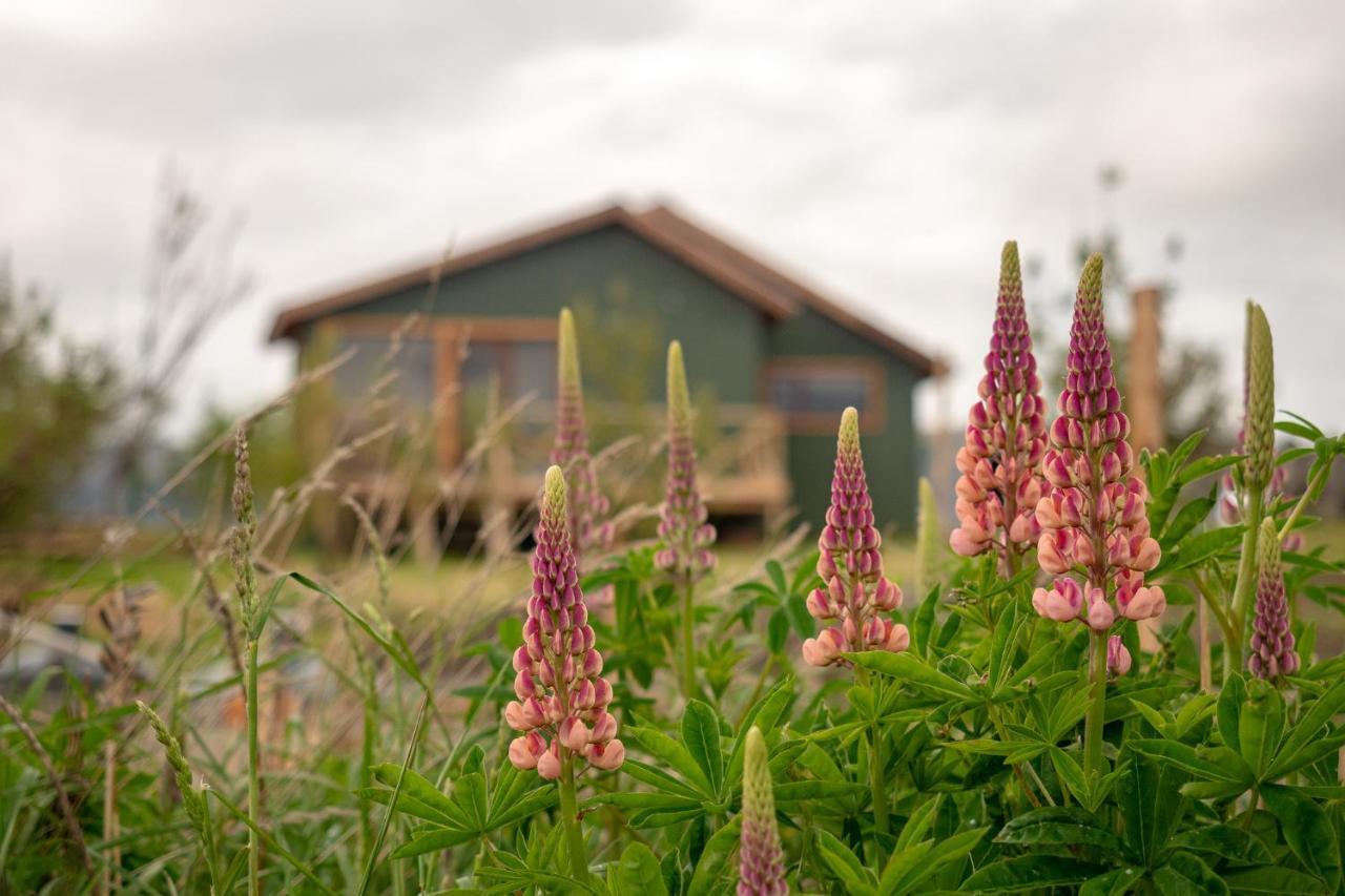 Garden Domes Villa Puerto Natales Bagian luar foto