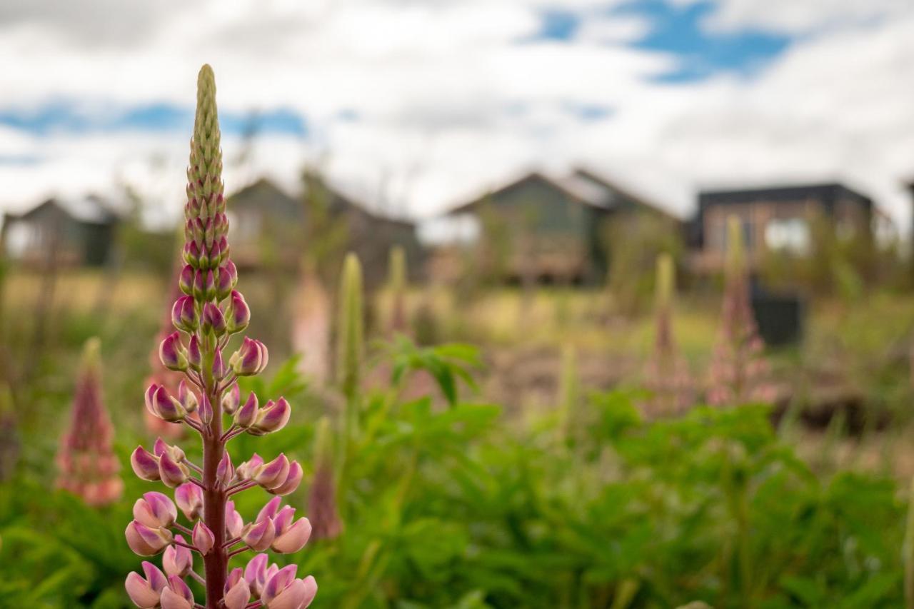 Garden Domes Villa Puerto Natales Bagian luar foto