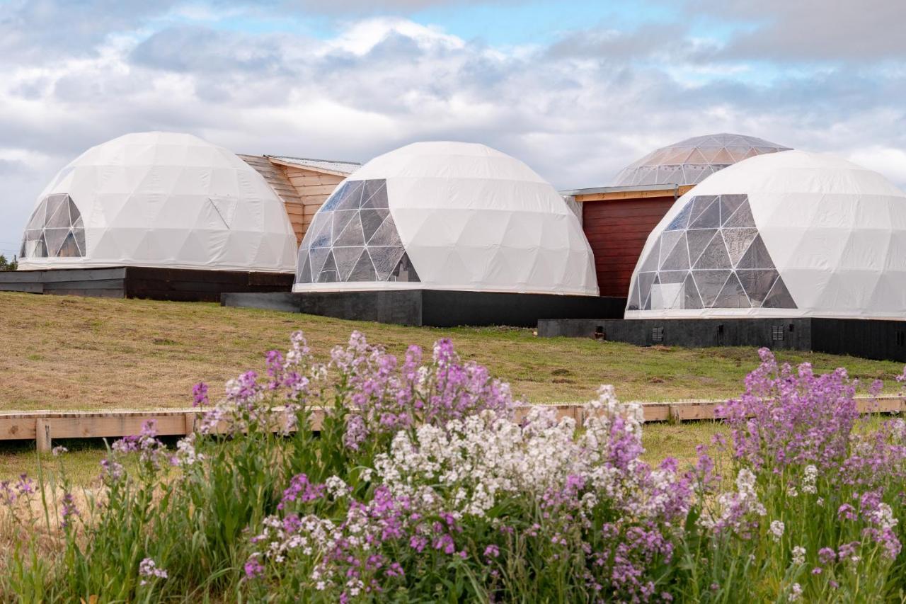 Garden Domes Villa Puerto Natales Bagian luar foto