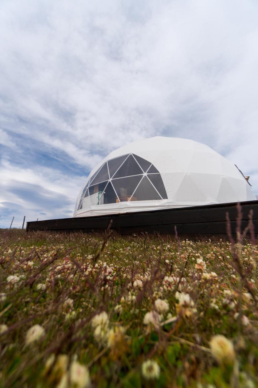 Garden Domes Villa Puerto Natales Bagian luar foto